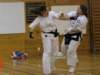 wlg2010_2_small.jpg